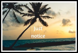 notice